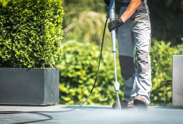 Best Dumpster Area Cleaning  in Shady Hollow, TX